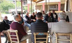 Mersinli çiftçiler şeftaliden yüksek rekolte, düşük kazanç bekliyor