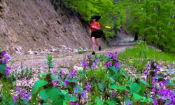 Osmaniye'de ultra maraton için geri sayım başladı