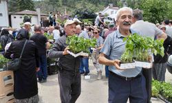 Bolu'da ücretsiz fide dağıtımına yoğun katılım