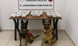 Hakkari'de 21 kilo 650 gram toz esrar ele geçirildi