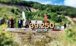 Kene ve kahverengi kokarcaya karşı doğal mücadele: 51 bin keklik ve sülün salınacak
