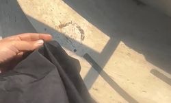 Mersin'de havuzda tesettür mayo yasağında site görevlisi tutuklandı