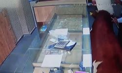 Sahibinden kaçan dana kuyumcu dükkânına girdi