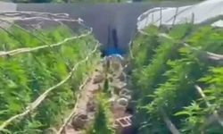 Seraları uyuşturucu üretim tesisine çeviren şahıslara operasyon