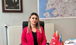 Türkiye'de 215 yeni diri fay keşfedildi