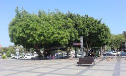 Mersin’de bugün hava sıcaklığı 38 dereceye kadar çıkacak