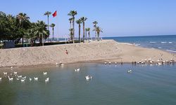 Mersin’de ördek ve kazlar ilgi odağı oluyor