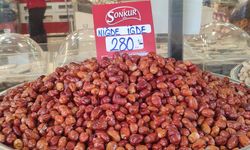 Mersin’de iğdenin kilosu 280 TL’ye satılıyor