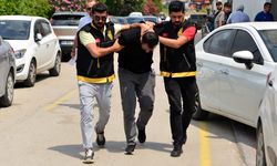 Katil zanlısı 550 saatlik güvenlik kamerası inceleme sonrası dağ evinde yakalandı