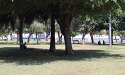Mersin’de kavurucu sıcaklar başladı: Vatandaşlar gölgelere sığındı