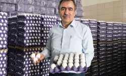 YUM-BİR Başkanı Afyon: "Sorun plansız üretim ve ihracat kısıtlamaları"