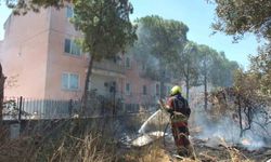 Burhaniye'de zeytinliğe sıçrayan ot yangını polis merkezinde korkuya neden oldu