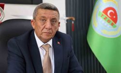 Kırşehir'de hububat hasadının yüzde 65'i tamamlandı