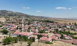 Meyvecilik projesi k&ouml;y&uuml;n refah seviyesini değiştirdi: G&ouml;&ccedil; durdu, işsizlik bitti