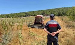 Tarlada su tankersiz hasat yapan biçördöver sahibine 3 bin 705 lira ceza