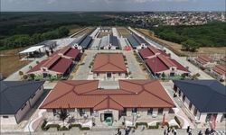 Tekirdağ'da 5 binden fazla sahipsiz hayvana umut oldular