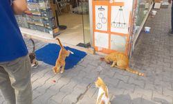 Akdenizli esnaf “can suyu” olmaya devam ediyor