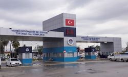 Mersin Hali’nde fiyatlar ateş pahası