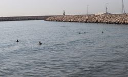 Mersin’de deniz suyu sıcaklığı rekor seviyeye yükseldi