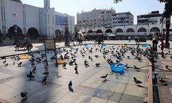 60 yıl önce başlayan gelenek Ulu Cami Meydanı’nda devam ediyor