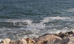 Mersin’de müsilaj giderek artıyor