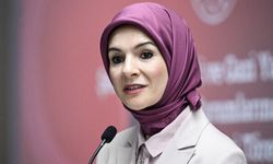 Bakan Göktaş: "Şiddet uygulayan şahsın hak ettiği cezayı alması için hukuki sürecin sonuna kadar takipçisi olacağız"