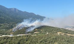 Bursa'da iki noktada aynı anda yangın...Uludağ'ın etekleri yanıyor