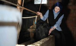Bayburt'un 'Mandalı Kızı': Köyünün simgesi oldu