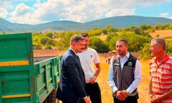 Bilecik'te ayçiçeği ekimi 3 yılda 11 bin 700 dekar arttı