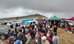 Bin 850 rakımlı zirvede şifa mesaisi: Hacet Bayramı'nda sarı kantaron topladılar