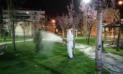 Çorum'da vektörel mücadele aralıksız sürüyor