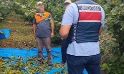 Fındık tarlalarında jandarma nöbeti
