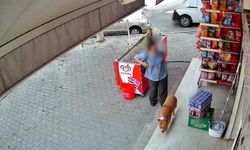 İzmir'de pitbull saldırısı: 5 çocuk annesi kadının parmağı koptu