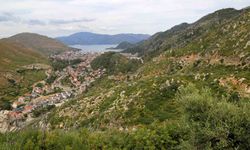 Kara tablo 5 yılda yeşile döndü