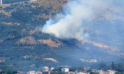 Marmara Adası'nda orman yangını başladı
