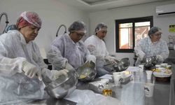 Mersin'in tescilli kan portakalı mutfak atölyesinde işlendi