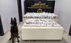 Piyasa değeri 13 milyon 960 bin lira olan 3 kilo 490 gram kokain ele geçirildi