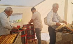 Sincik'te bal hasadı başladı