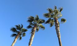 10 Ağustos’ta Mersin’de hava durumu
