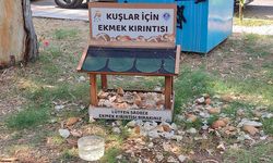 Mersin Yenişehir’de kuşlar için ekmek kırıntısı bırakma noktası ilgi görüyor