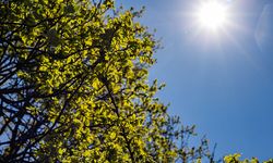 8 Ağustos’ta Mersin’de hava durumu