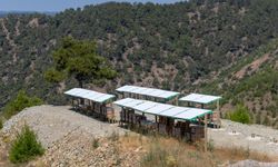 Yenişehir’de şekersiz balın adresi: Manavşa