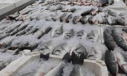 Adana'da sıcak havalar balık satışlarını düşürdü