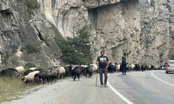 Artvin'de yaylalardan dönüş başladı