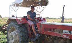Aydın'da yonca hasadında verim yüzleri güldürdü