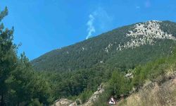 Fethiye'de orman yangını