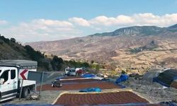 Fındık üreticilerinin güneş arayışı