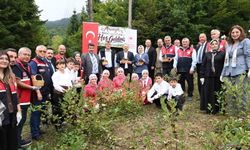 Kastamonu'da aronya hasadı başladı