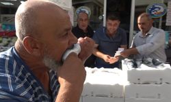 Kilis'te palamut 100 liraya düştü, balıkçı çiğ çiğ yedi