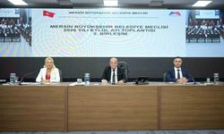 Mersin'de raylı sistem projesi için 224 milyon euroluk borçlanma kararı